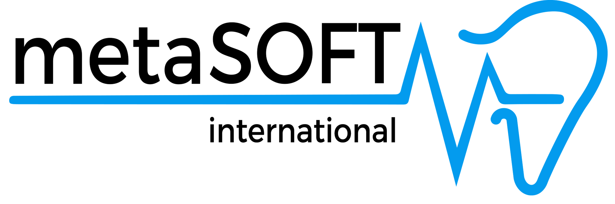 metaSOFT International
