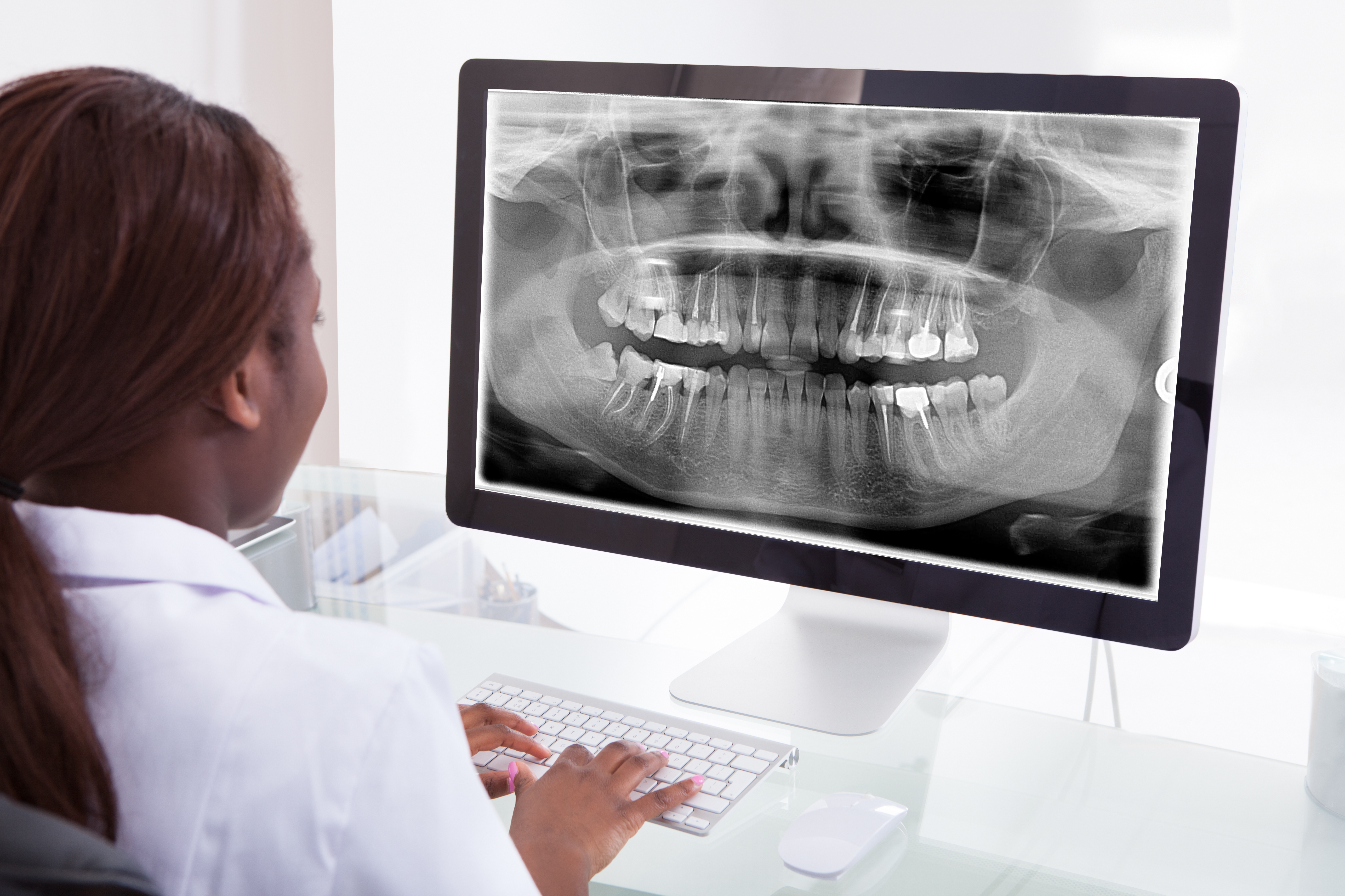 Dentist reviewing panoramic X-ray